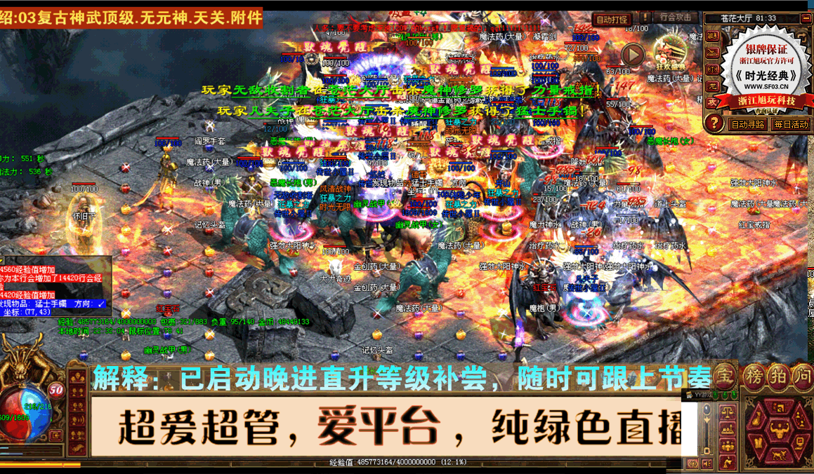 坐骑装备展示三